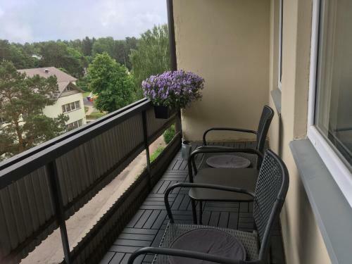 Apartamento Mokka Room