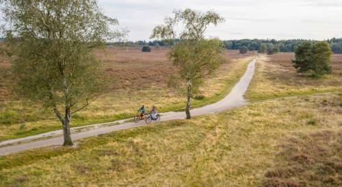 Bos Chalet In Epe Op De Veluwe