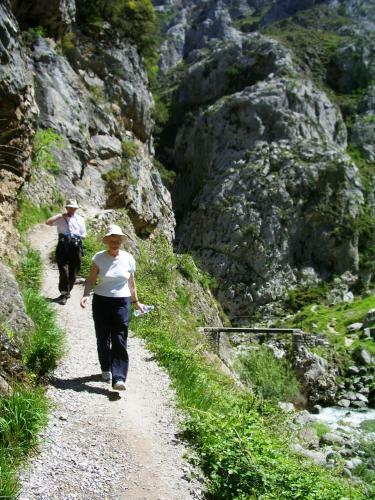 Hostal Hosteria Picos De Europa
