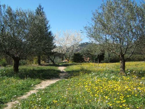 Bed & Breakfast La Radassi�re