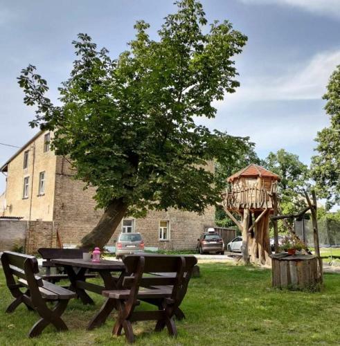 Livu Apartments In The Old Town