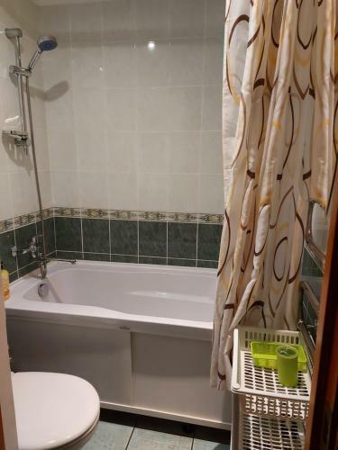 Apartamento Dz?voklis