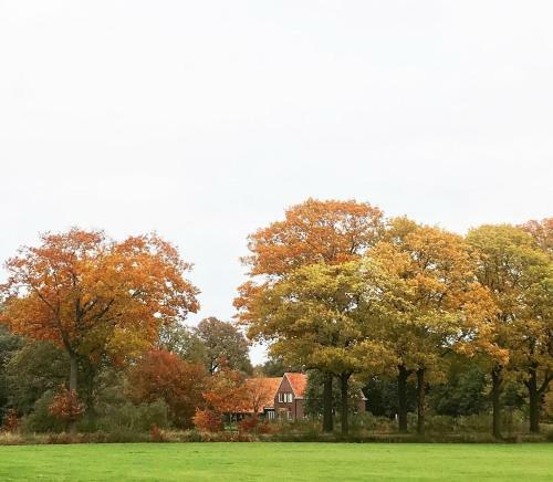 Bed & Breakfast Hoeve De Snippert