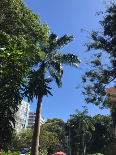 Amelie Poulin Apartamento Beach