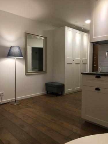 Five Star Downtown Apartment