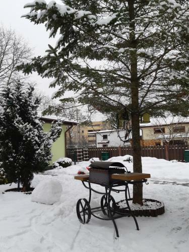 Apartamento Zveryno Guest House