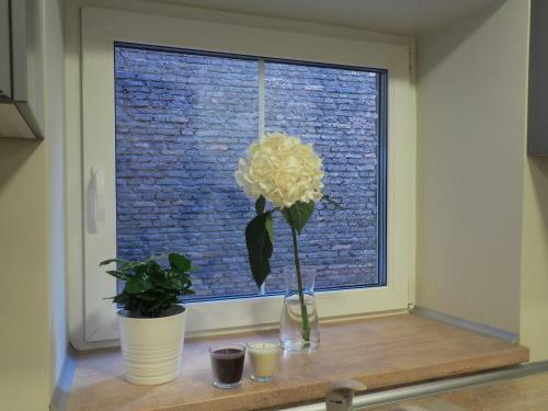 Emi Apartment