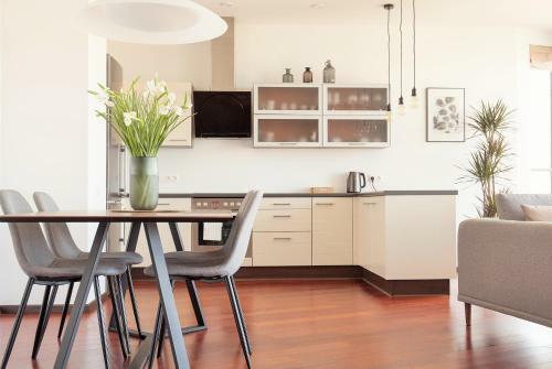 Luxury Panoramic Vilnius Apartment