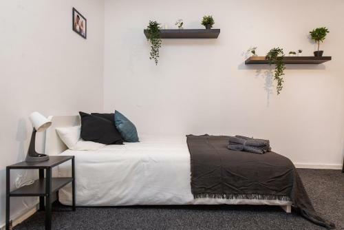 Albergue The House
