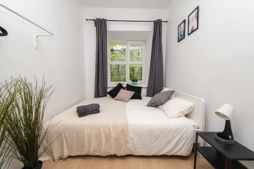 Albergue The House