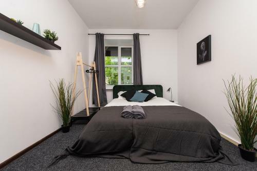 Albergue The House