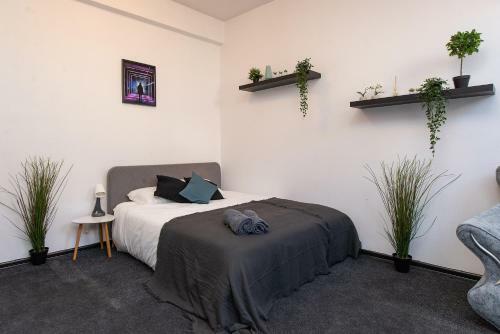 Albergue The House