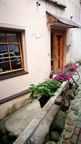 Apartamento St Anne Studio
