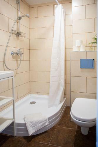 Vilnius Downtown Apartment