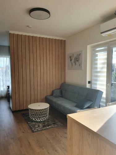New Studio Apartment In ?v?rynas