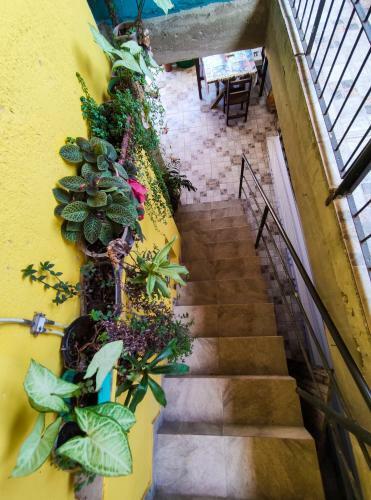 Apartamento Espa�o Do Sol