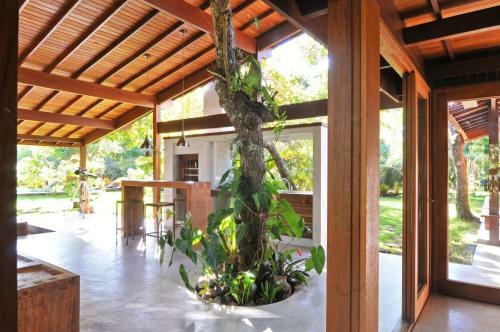 Casa Aruanda