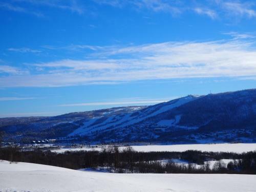 Apartment Between Ustaoset And Geilo