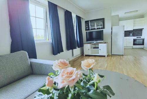 Apartamento Banpim Hillside Lofoten With Jacusszi