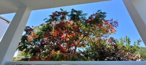 Casa de Praia Aconchegante Na Enseada