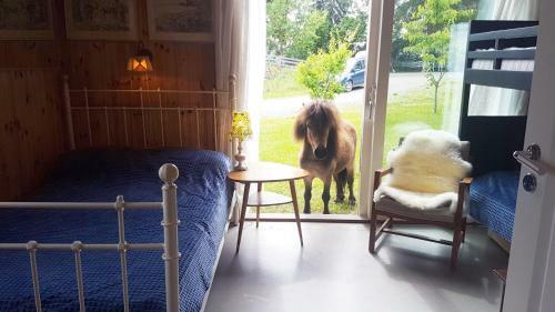 Apartamento Drengestua P� Flagstad �stre