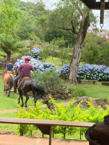 Finca Molina Hospedaria De Campo
