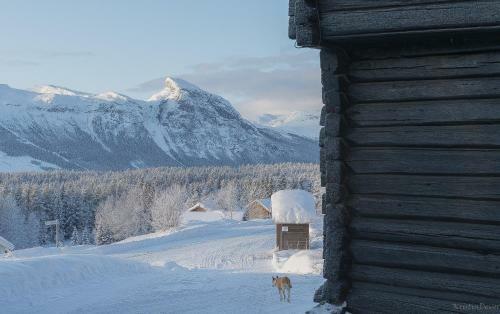 Hostal Eikre Fjellg�rd