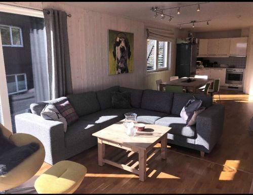 Apartamento Skarsnuten Panorama 61, Hemsedal