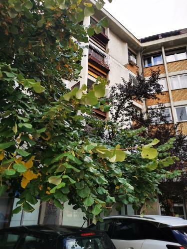 Apartamento T&a