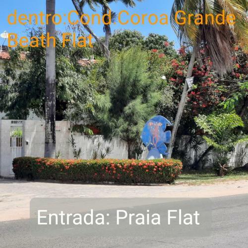 Apartamento Praia Flat