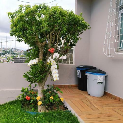 Apartamento Loft Encantador D - 8 Km de Floripa