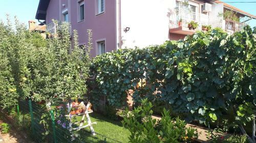 Apartamento Exclusive