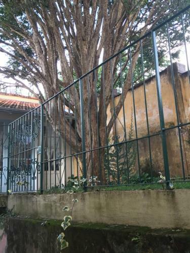 Aconchego Mineiro