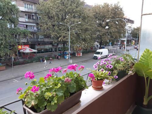 Apartman Nada