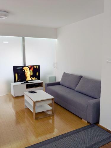 Lux Studio Apartment Vidanovic