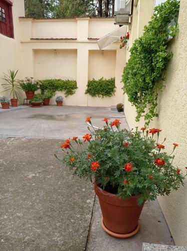 Apartman Ady 6