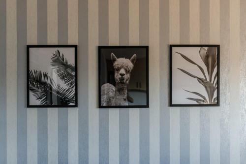 Romantic Apartment Sabac