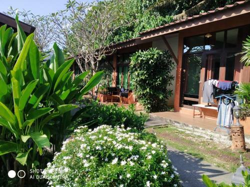 Hotel Phuket Siam Hostel