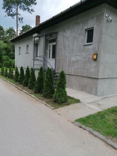 Apartman Ceca