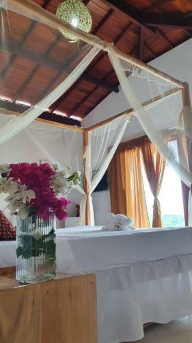Hotel Pousada Sol E Viol�o