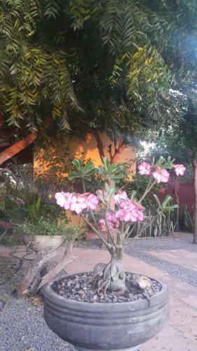 Apartamento Pousada Caj� Verde