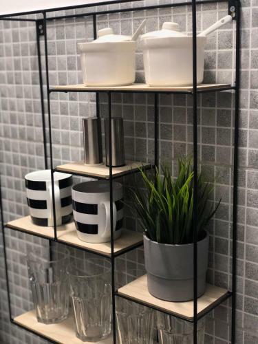 Apartman Spring