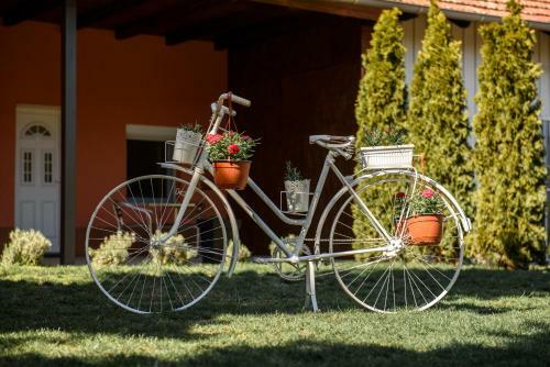 Apartamento Dumalux Garden