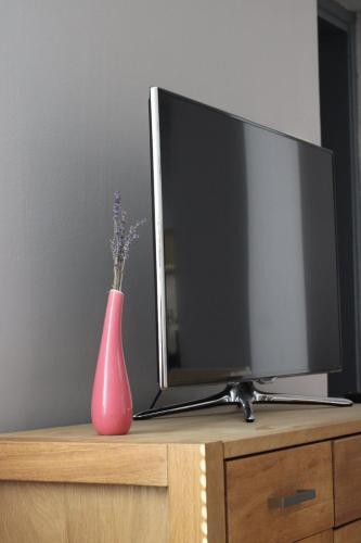 "grey Apartment" Subotica