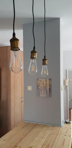 "grey Apartment" Subotica