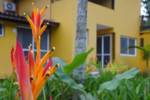 Apartamento La Ville Cambury