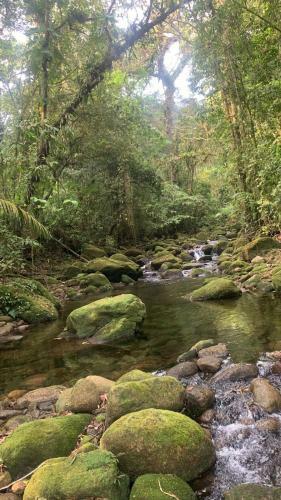 S�tio Pr�ximo A Praia De Camburi