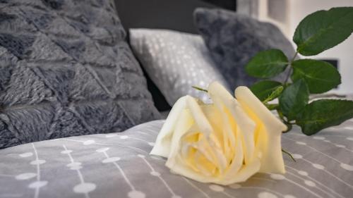 Apartment Delux 14