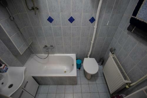 Apartment Borovo