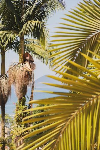 Bed & Breakfast �ko Villa